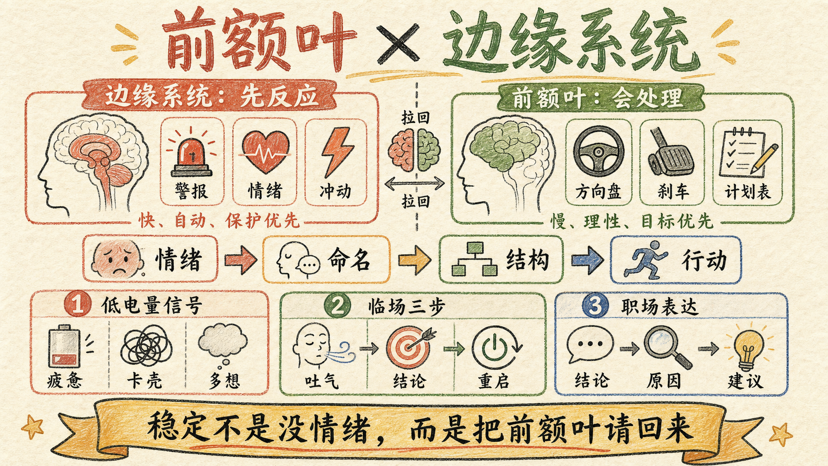 前额叶-边缘系统-职场稳态表达-暖纸高信息手绘笔记.png